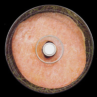 Twin Peaks promo cd "Donut Disc"